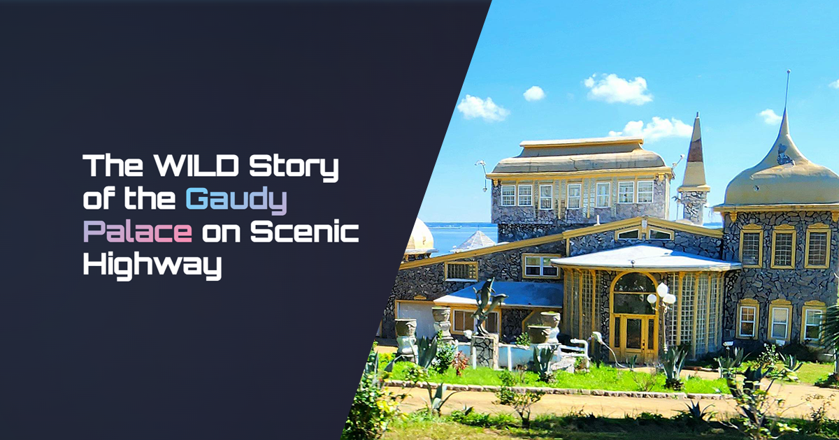 The WILD Story of the Gaudy Palace on Scenic Highway